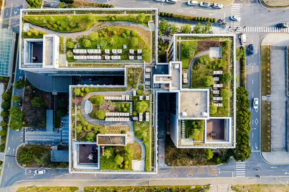 Bird's eye view of green roof.